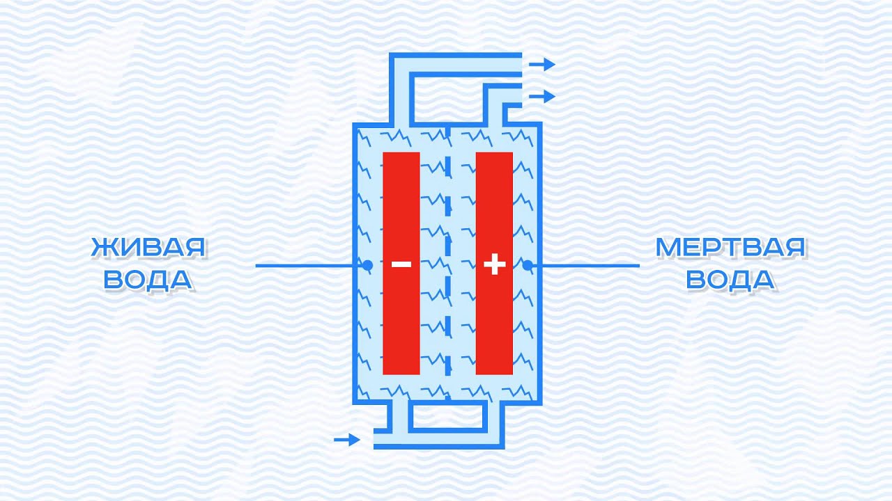 Пить мертвую воду. Электролиз воды Живая и мертвая вода. Электролизер Живая и мертвая вода. Диоды для ионизатора воды. Генератор живой воды.