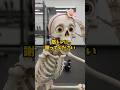 体脂肪、努力ミスってる説＃骸骨＃雑学＃食生活＃ライフハック＃体脂肪＃筋トレ【楽曲提供：箕輪レコーズ】
