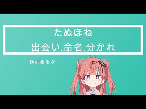 【妖狸るるか】たぬほね出会い 命名 別れ【コネクト切り抜き】Youri rururca