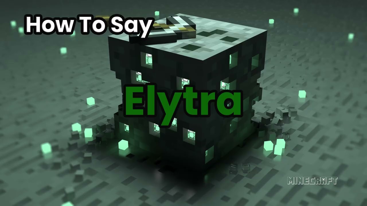 How To Pronounce Elytra? Name Definition & Pronunciation Guide