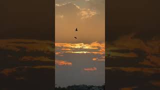 || Sunset || #timelapse #youtubeshorts #yt #viral