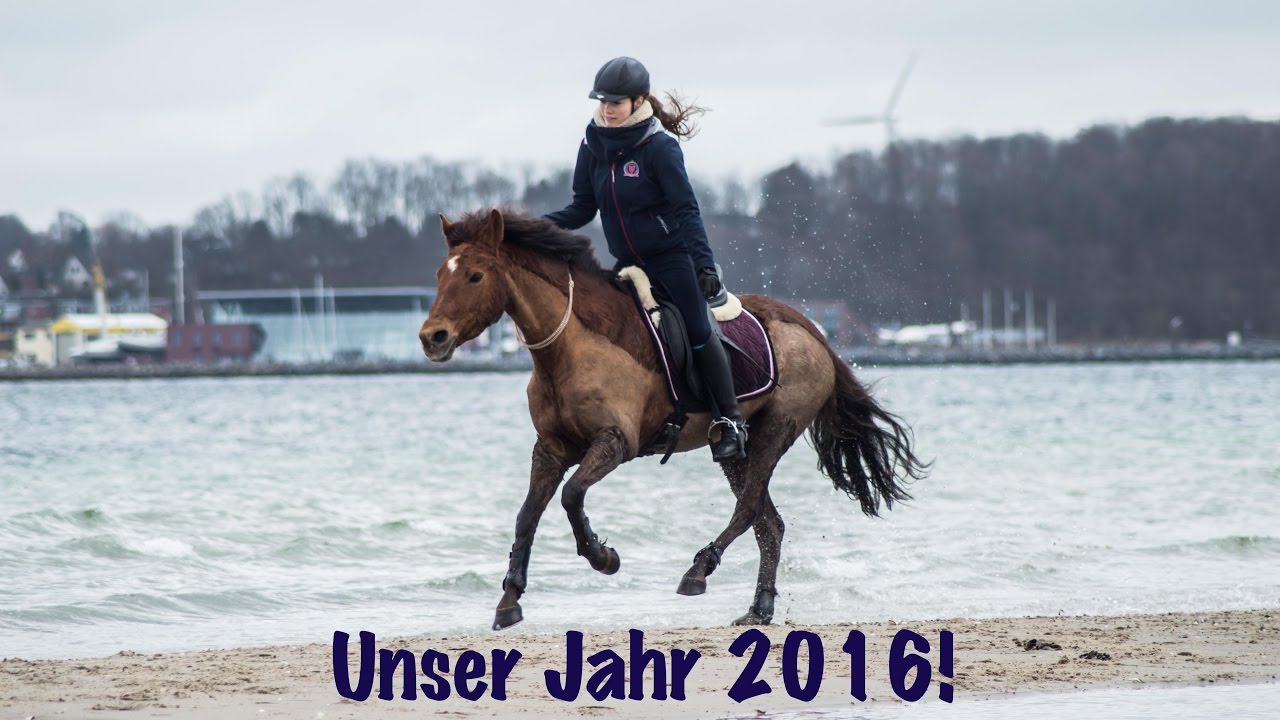 We can be golden - Unser Jahr 2016 🐴