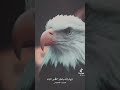 خلك رجل 2022