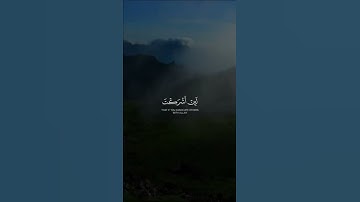 #عمر_الدريويز #تلاوات #القرآن_الكريم #quran #تلاوة_خاشعة #قرآن #تلاوة #القرآن #ايات_قرانيه_قصيره