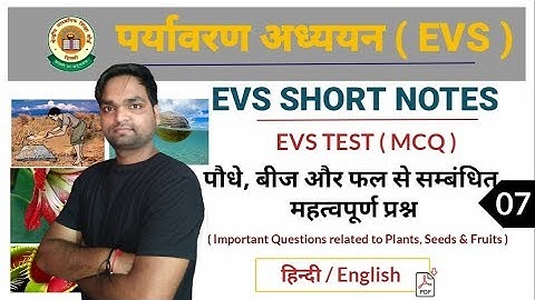 CTET - 2020 SPECIAL | Environmental Studies MCQ (EVS) by DK Gupta | Class- 07 | Test