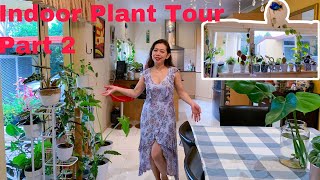 Indoor Plant Tour 2021 Part 2 | 2nd Part of my 170 Houseplant Collection