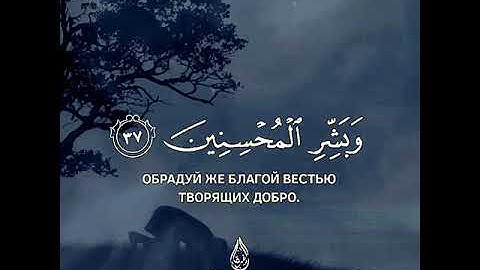 تلاوة خاشعة ومؤثرة ترقق القلوب بصوت جميل جدا الشيخ ناصر القطامي حالات واتس اب دينية قصيرة مؤثرة قران