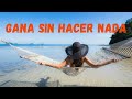 GANA sin hacer NADA directo a PAYPAL