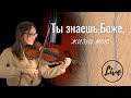 Ты знаешь, Боже, жизнь мою 🎶 | Общее пение в Церкви | Христианские песни (Lyrics)