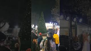 🎄✨ One... Two... THREE! Light up the Christmas tree
