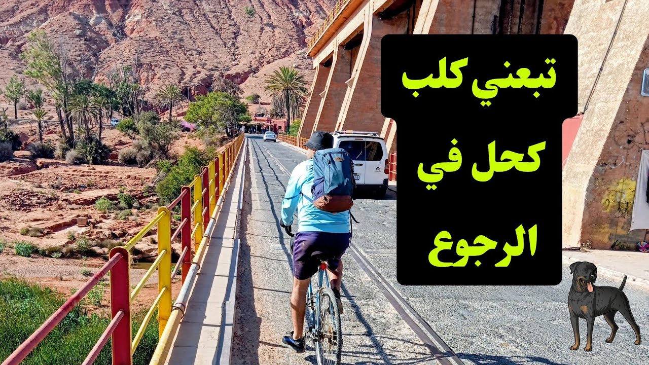 غادرت قنطرة بن معاشو 🚴 واد أم الربيع