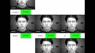 Evaluating AAM Fitting Methods for Facial Expression Recognition (IEEE ACII 2009) : Part 2 of 2 Net Worth