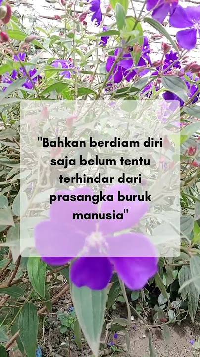 bahkan berdiam diri#quotes #motivasi #shortsvideo #kata kata bijak #penyemangatdiri #storywa