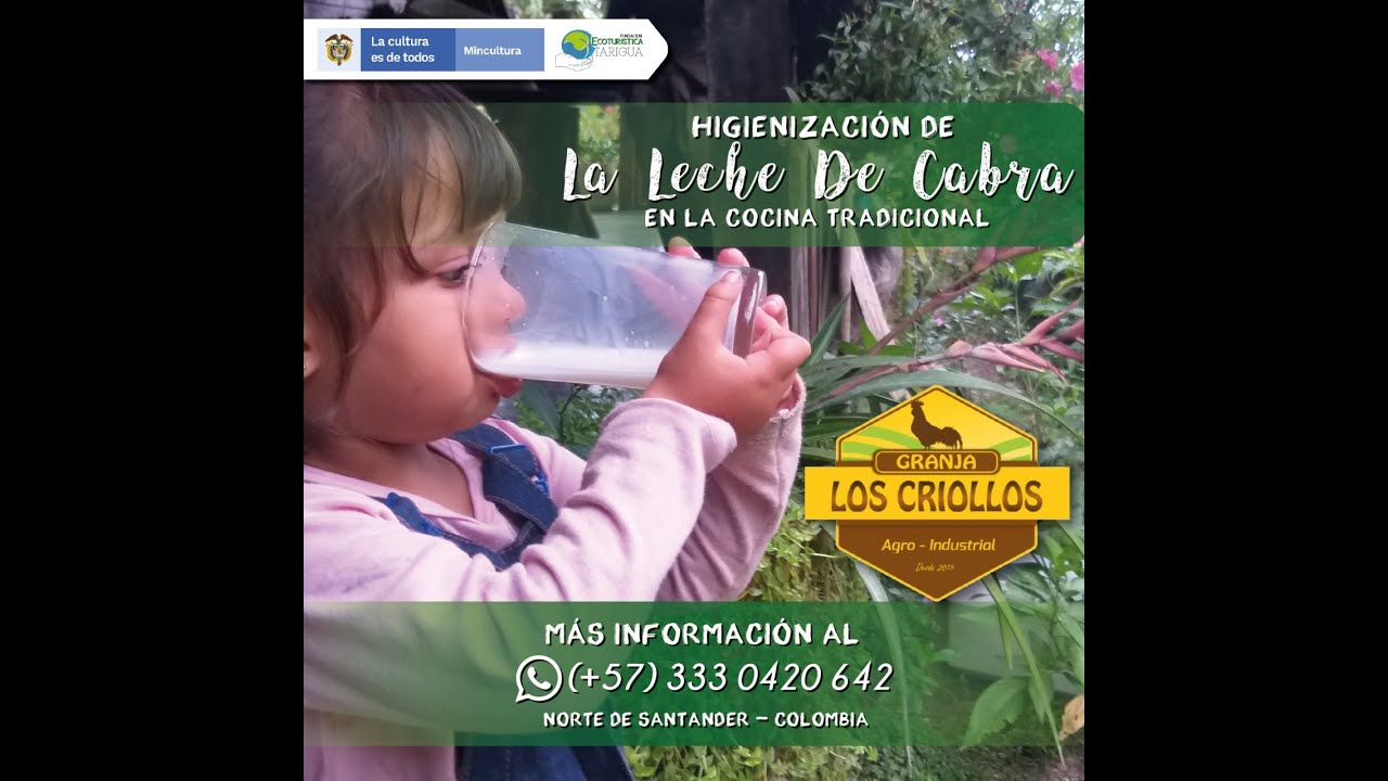 Bebés consumen leche de cabra - Higienización de Leche de Cabra - Pasteurización de leche en casa