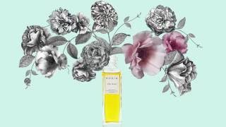 RODIN olio lusso TANGO