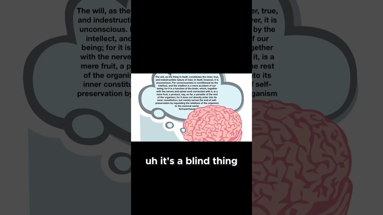 What Drives the Universe - The Will to Life Explained