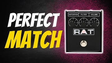 Vox AC15 with ProCo Rat 2 – Why This Pairing Just Works