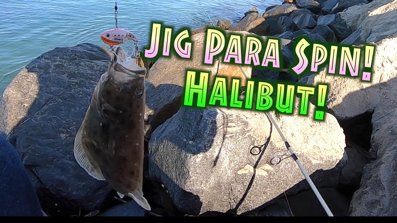 Major Craft Jigpara Spin for California Halibut! Surf fishing in Southern  California. 