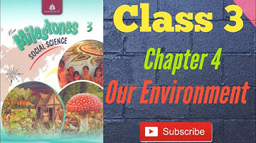 Our Environment | Chapter 4 | Class 3 | New Milestone Social Studies