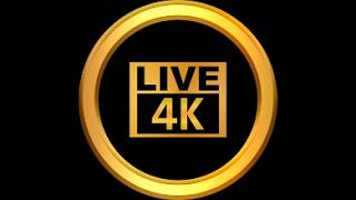 Gigabit Dimensione Test 4k Live  -