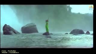 pallakki bgm ringtone ❤️