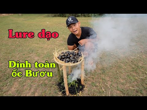 Câu Lure Mà Lạ Lắm