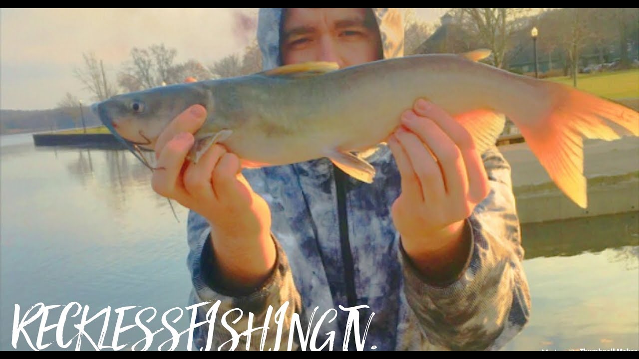 Fishing the Hudson!?! YouTube