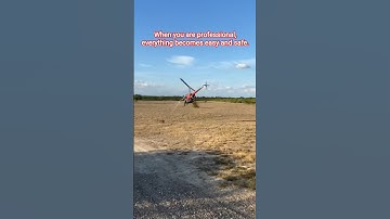 Experts move animals safely by helicopter#helicopter#helicopterflight #aviation