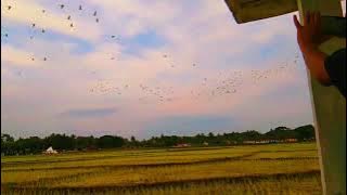 cinematic senja, dj toxic friends slow x katak bhizer viral tiktok