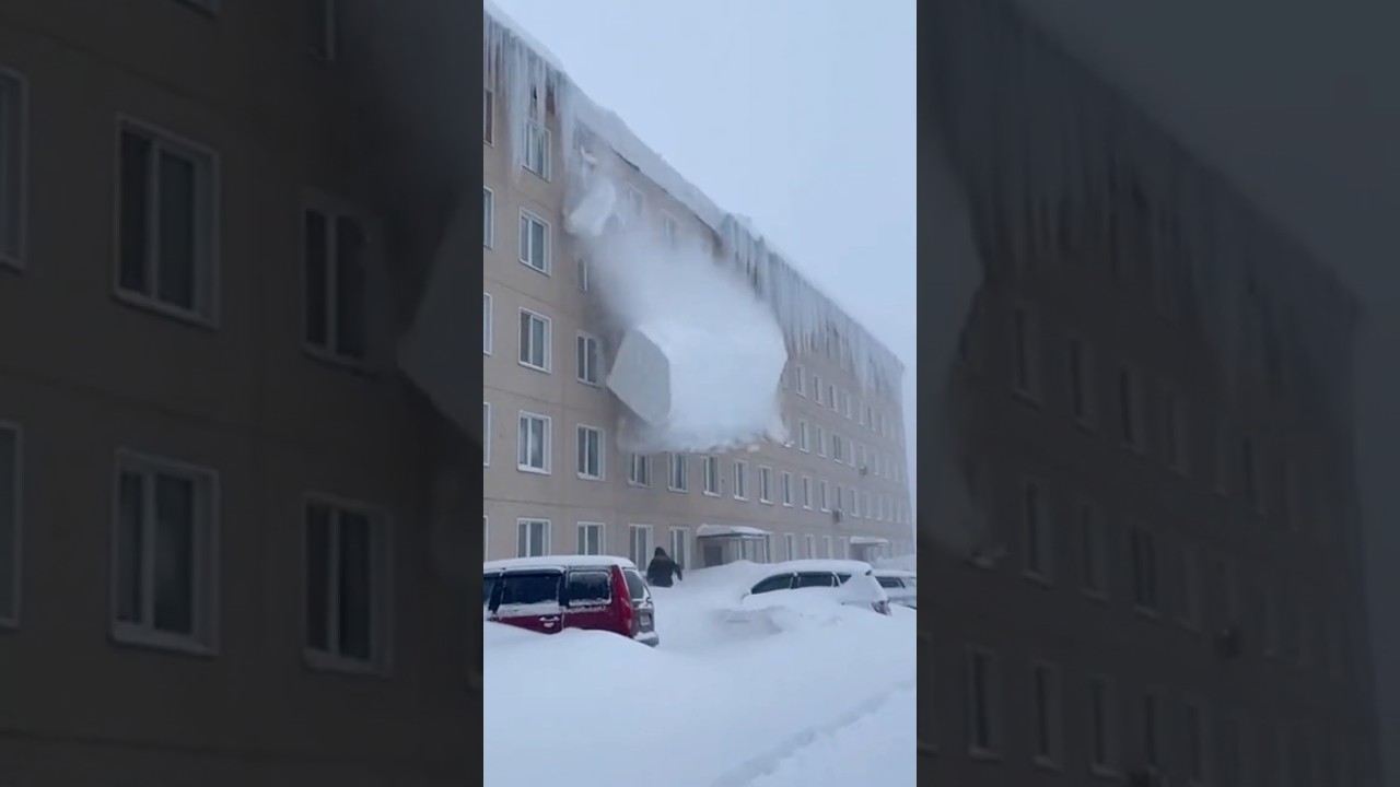 7 февраля 2026 г.