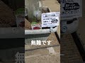 鉢に苗を植える④r8/5/15