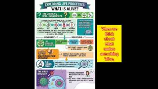 Life processes | Science class 10th | Ctet science #biology #science #ctet #classx #ncert