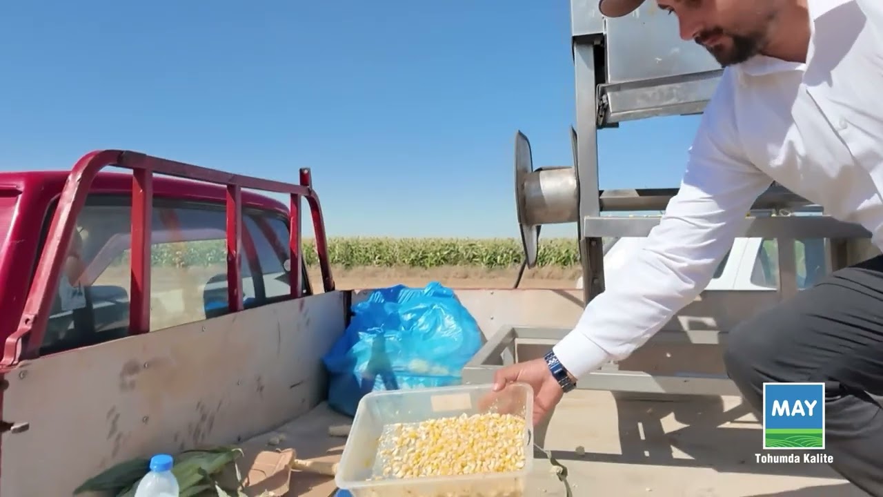 Новая яркая звезда пищевой промышленности; GLOBE F1