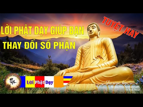 Lời Phật Dạy Về Đạo Làm Người rất hay P3 | Phật Pháp Nhiệm Màu Lời Phật Dạy Về Đạo Làm Người rất hay P3 | Phật Pháp Nhiệm Màu