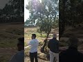 32 ª Baja 500 Portalegre 2018 Nani Roma 32 ª Baja 500 Portalegre 2018 Nani Roma