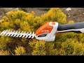 First cut with Stihl Hsa 26 in the winter.(masina de tuns gard viu si iarba Stihl hsa 26 pe baterie)