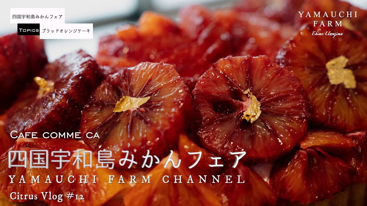 カフェコムサ【四国宇和島みかんフェア】ブラッドオレンジケーキ - YouTube