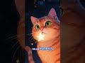 The Fat Orange Cat and the Little Star – Cozy Bedtime Story for Kids #bedtimestory #bedtimestories
