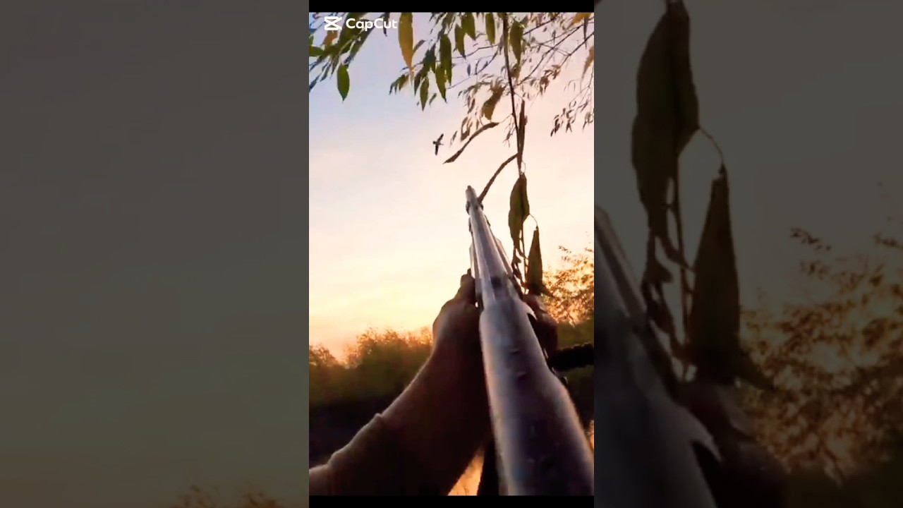 охота на гусей видео отличное короткометражка geese hunting video great short