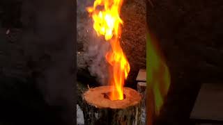 WOOD ROCKET STOVE Bushcraft Swedish Torch Build all natural DIY fire log #shorts