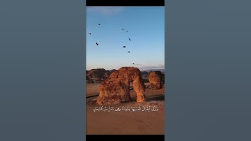 سورة النمل #اسلام_صبحي #اكسبلور #المصحف #قرآن #explore #edit