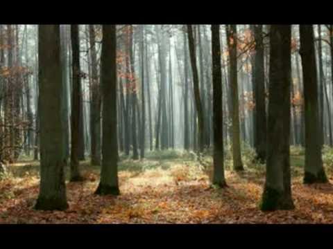 Rachmaninoff - Symphonic Dances No. 2 - Sir Eugene...