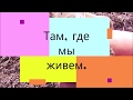 Главный-первый весенний взяток "накрылся медным тазом".