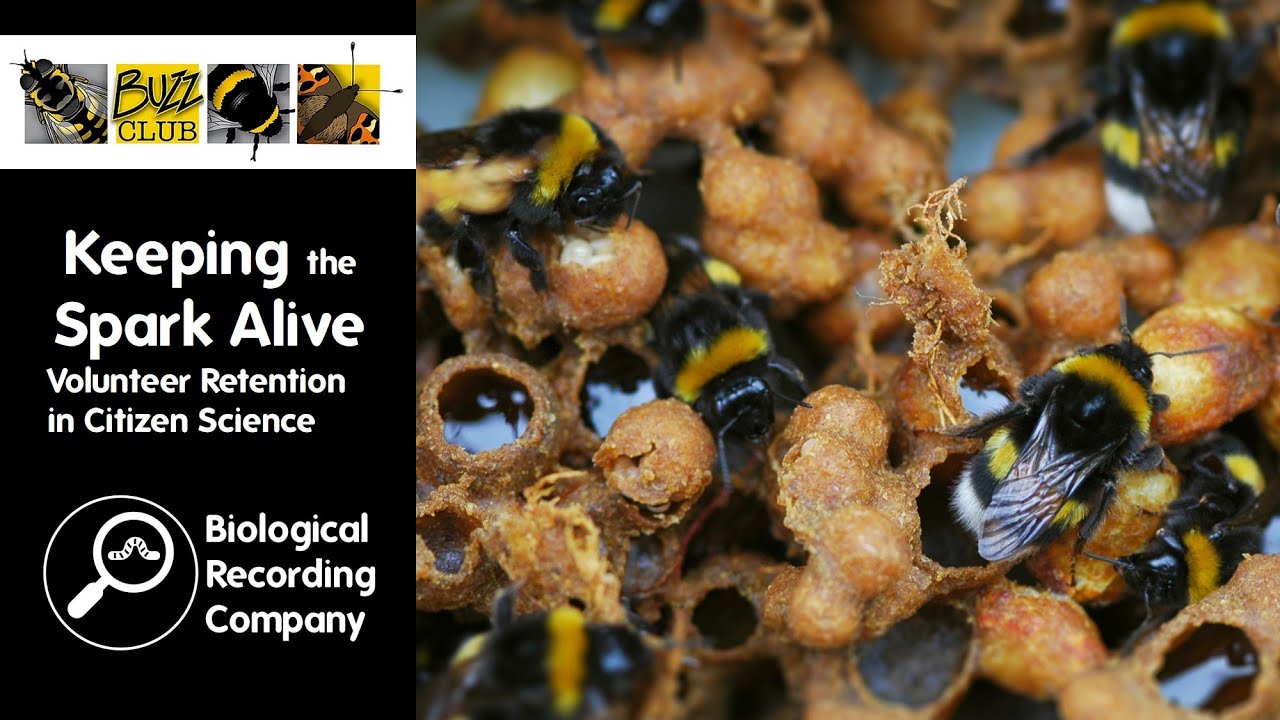 Keeping the Spark Alive: Volunteer Retention in Citizen Science - YouTube