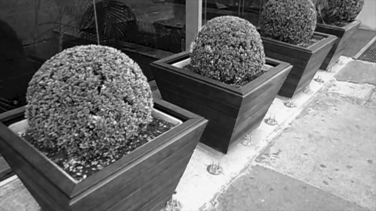 Arquitetura Hostil - YouTube