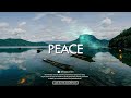[Free]  Burna Boy x Omah Lay x Oxlade Type Beat | "PEACE"