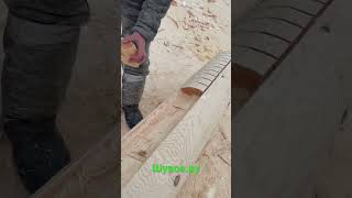 Рубка сруба дома.  Вышибаем лунный паз на бревне.