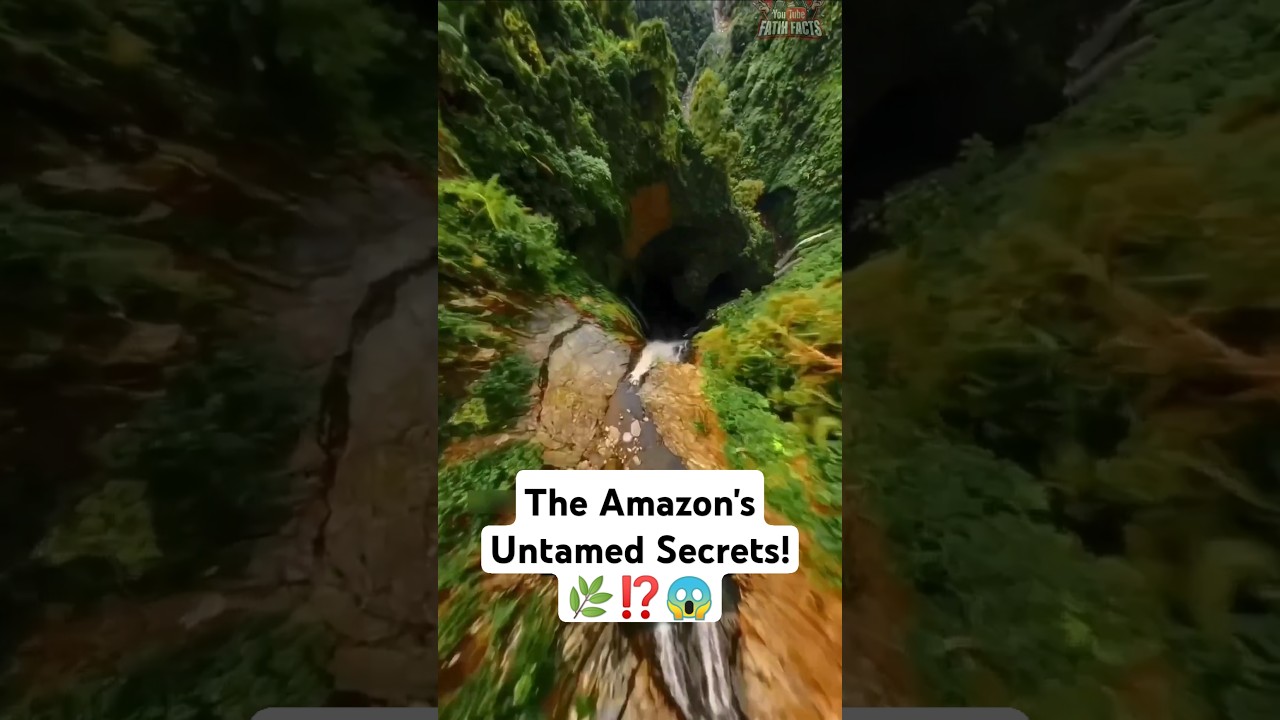 The Amazon's Untamed Secrets! 🌿⁉️😱 