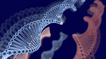 DNA Strands Under 4 Minutes | Cinema 4D Tutorial | 3D Render Scene