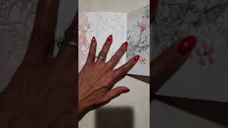 Soft and pretty minibook screenshot 2